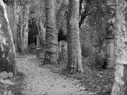 Alter Friedhof in Freiburg