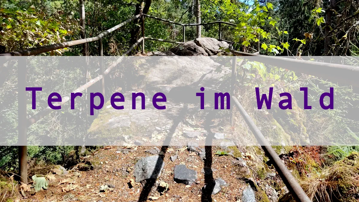 beitrag terpene