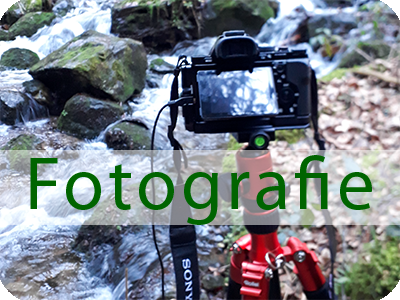 fotografie